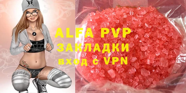 молекула духа Арсеньев