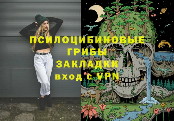 тгк Аркадак